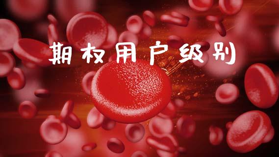 期权用户级别_https://wap.kuaijiepai.net_外汇交易_第1张