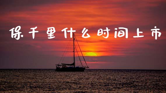 保千里什么时间上市_https://wap.kuaijiepai.net_金融科技_第1张