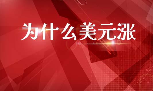 为什么美元涨_https://wap.kuaijiepai.net_外汇交易_第1张