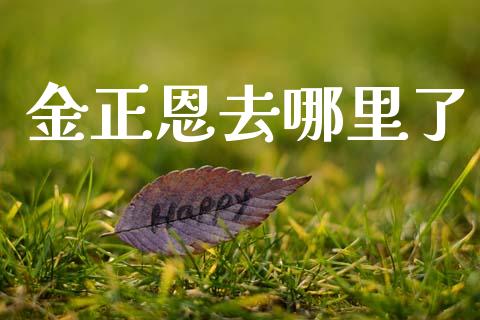 金正恩去哪里了_https://wap.kuaijiepai.net_财务风控_第1张