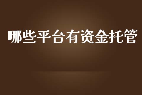 哪些平台有资金托管_https://wap.kuaijiepai.net_金融科技_第1张