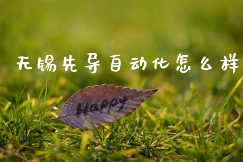 无锡先导自动化怎么样_https://wap.kuaijiepai.net_金融科技_第1张