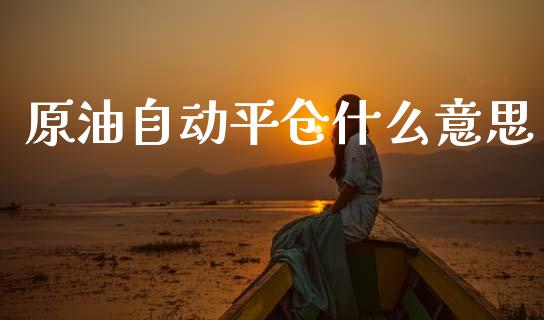 原油自动平仓什么意思_https://wap.kuaijiepai.net_财务咨询_第1张