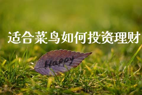 适合菜鸟如何投资理财_https://wap.kuaijiepai.net_金融科技_第1张