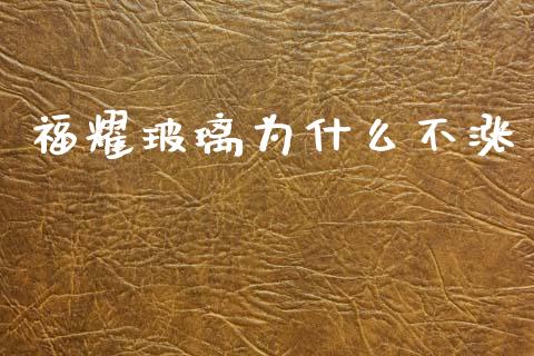 福耀玻璃为什么不涨_https://wap.kuaijiepai.net_财务咨询_第1张