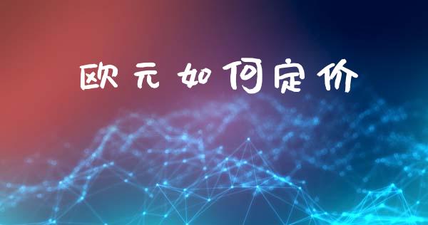 欧元如何定价_https://wap.kuaijiepai.net_财务风控_第1张