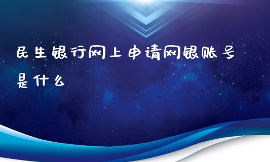 民生银行网上申请网银账号是什么_https://wap.kuaijiepai.net_财务咨询_第1张