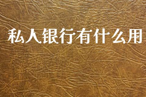 私人银行有什么用_https://wap.kuaijiepai.net_财务风控_第1张