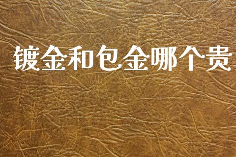 镀金和包金哪个贵_https://wap.kuaijiepai.net_金融科技_第1张