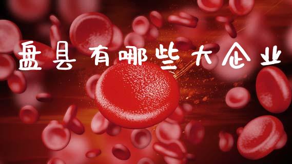 盘县有哪些大企业_https://wap.kuaijiepai.net_外汇交易_第1张