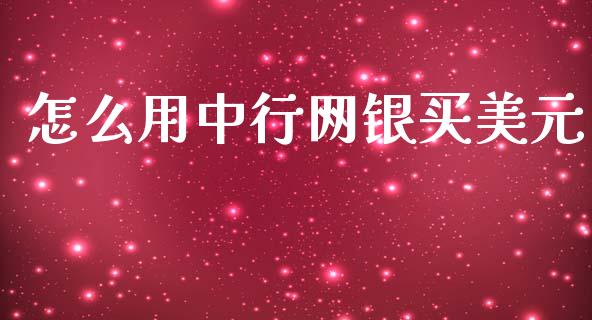 怎么用中行网银买美元_https://wap.kuaijiepai.net_外汇交易_第1张