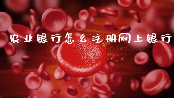 农业银行怎么注册网上银行_https://wap.kuaijiepai.net_财务咨询_第1张