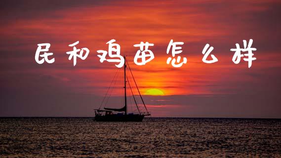 民和鸡苗怎么样_https://wap.kuaijiepai.net_财务风控_第1张