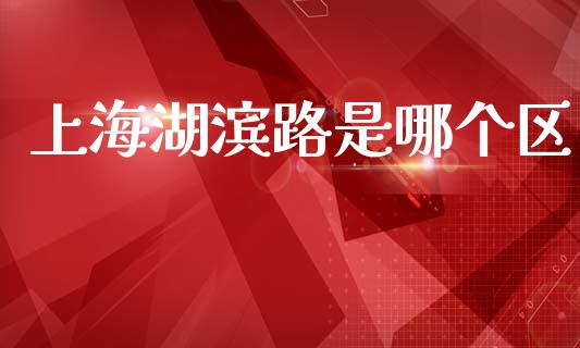 上海湖滨路是哪个区_https://wap.kuaijiepai.net_财务风控_第1张
