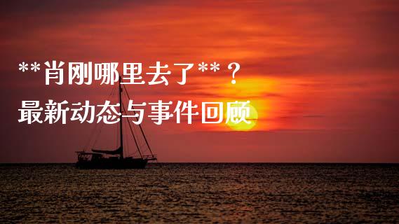 **肖刚哪里去了**？ 最新动态与事件回顾_https://wap.kuaijiepai.net_外汇交易_第1张