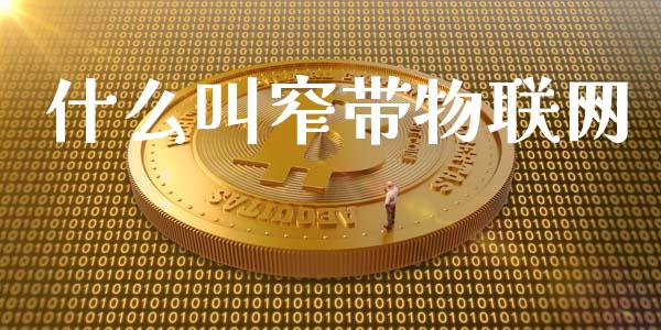什么叫窄带物联网_https://wap.kuaijiepai.net_财务咨询_第1张