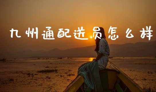 九州通配送员怎么样_https://wap.kuaijiepai.net_财务风控_第1张