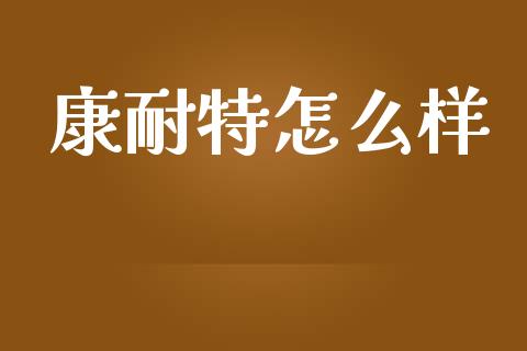 康耐特怎么样_https://wap.kuaijiepai.net_财务风控_第1张