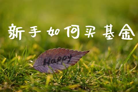 新手如何买基金_https://wap.kuaijiepai.net_财务风控_第1张