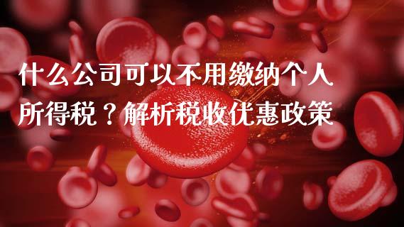 什么公司可以不用缴纳个人所得税？解析税收优惠政策_https://wap.kuaijiepai.net_财务风控_第1张