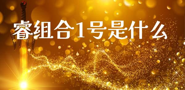 睿组合1号是什么_财务风控_第1张_金融科技_财务风控_外汇交易_财务咨询 睿组合1号是什么_https://wap.kuaijiepai.net_财务风控_第1张