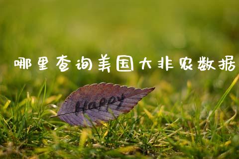 哪里查询美国大非农数据_https://wap.kuaijiepai.net_外汇交易_第1张