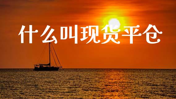 什么叫现货平仓_https://wap.kuaijiepai.net_财务咨询_第1张