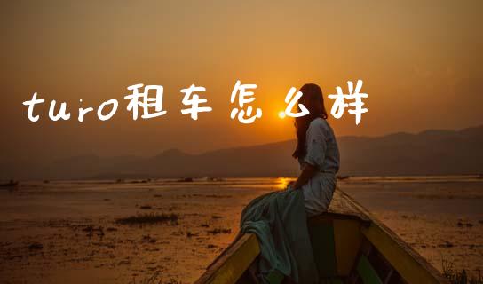 turo租车怎么样_https://wap.kuaijiepai.net_财务风控_第1张