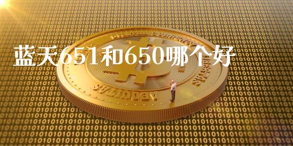 蓝天651和650哪个好_https://wap.kuaijiepai.net_财务咨询_第1张
