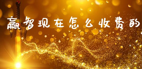 赢智现在怎么收费的_https://wap.kuaijiepai.net_财务风控_第1张