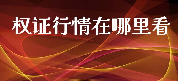 权证行情在哪里看_https://wap.kuaijiepai.net_财务风控_第1张