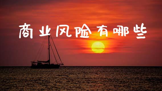 商业风险有哪些_https://wap.kuaijiepai.net_财务咨询_第1张