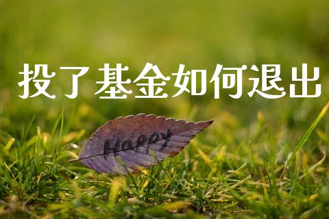 投了基金如何退出_https://wap.kuaijiepai.net_财务咨询_第1张