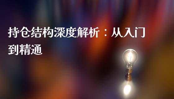 持仓结构深度解析：从入门到精通_https://wap.kuaijiepai.net_财务风控_第1张