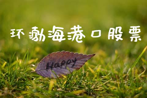 环渤海港口股票_https://wap.kuaijiepai.net_外汇交易_第1张