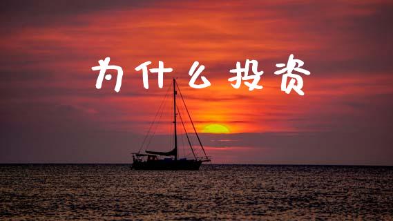 为什么投资_https://wap.kuaijiepai.net_金融科技_第1张