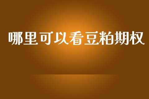 哪里可以看豆粕期权_https://wap.kuaijiepai.net_外汇交易_第1张
