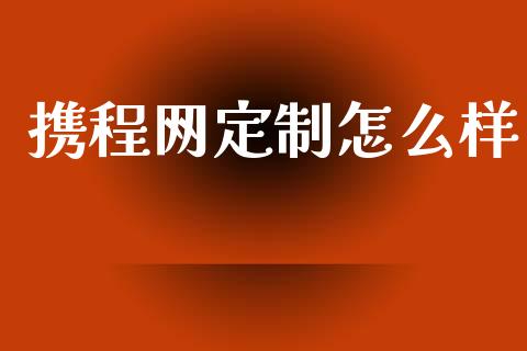 携程网定制怎么样_https://wap.kuaijiepai.net_财务风控_第1张