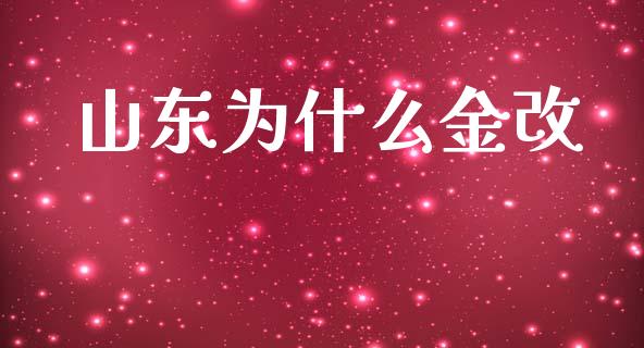 山东为什么金改_https://wap.kuaijiepai.net_外汇交易_第1张