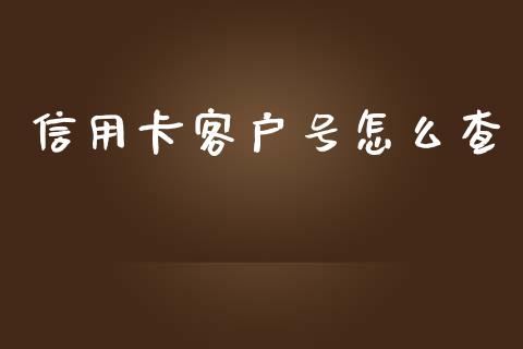 信用卡客户号怎么查_https://wap.kuaijiepai.net_财务咨询_第1张