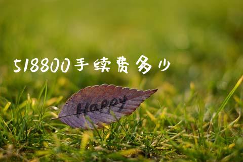 518800手续费多少_https://wap.kuaijiepai.net_财务咨询_第1张