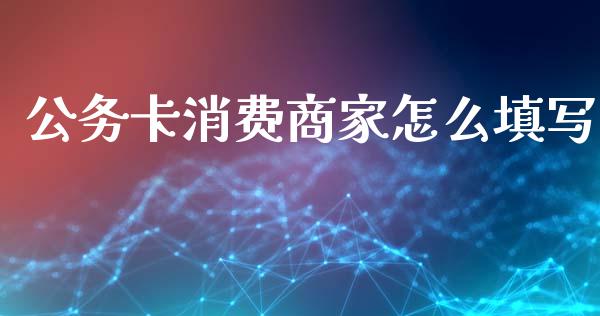 公务卡消费商家怎么填写_https://wap.kuaijiepai.net_金融科技_第1张