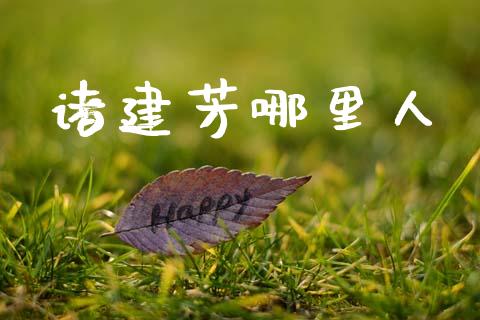 诸建芳哪里人_https://wap.kuaijiepai.net_财务风控_第1张