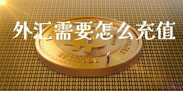 外汇需要怎么充值_https://wap.kuaijiepai.net_外汇交易_第1张