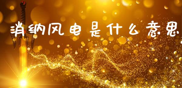 消纳风电是什么意思_https://wap.kuaijiepai.net_财务风控_第1张