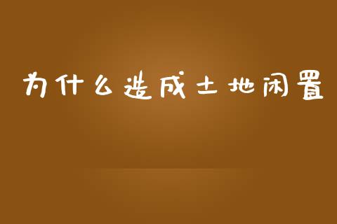 为什么造成土地闲置_https://wap.kuaijiepai.net_财务风控_第1张