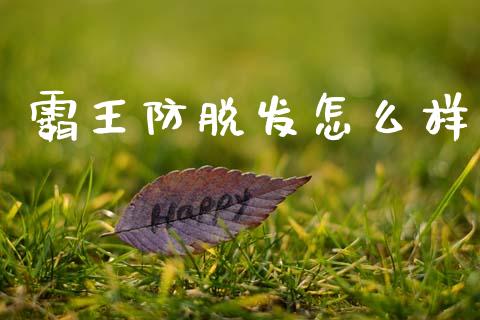 霸王防脱发怎么样_https://wap.kuaijiepai.net_财务咨询_第1张