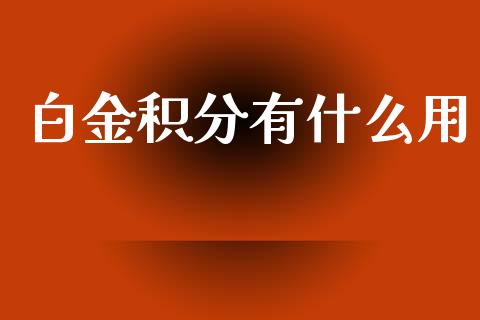白金积分有什么用_https://wap.kuaijiepai.net_财务风控_第1张