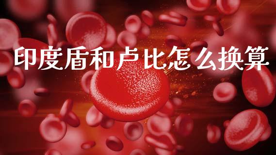 印度盾和卢比怎么换算_https://wap.kuaijiepai.net_财务咨询_第1张