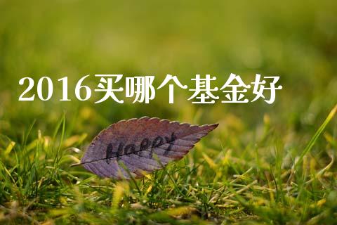 2016买哪个基金好_https://wap.kuaijiepai.net_财务风控_第1张